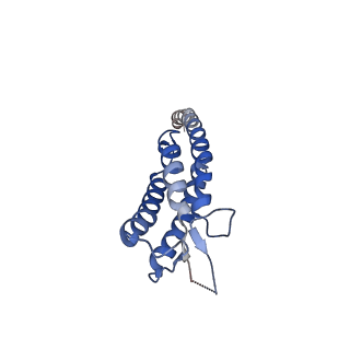 40059_8gi1_B_v1-1
Homo-octamer of PbuCsx28 protein