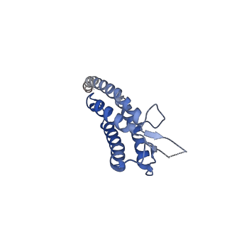 40059_8gi1_C_v1-1
Homo-octamer of PbuCsx28 protein