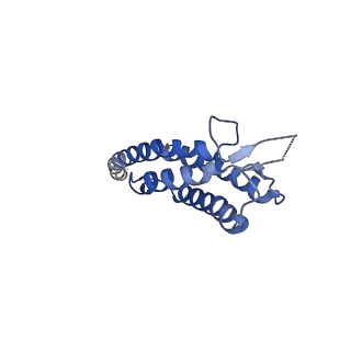 40059_8gi1_D_v1-1
Homo-octamer of PbuCsx28 protein
