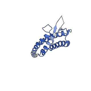 40059_8gi1_E_v1-1
Homo-octamer of PbuCsx28 protein
