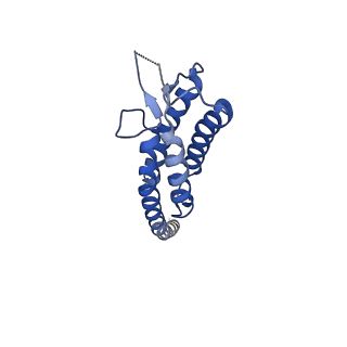 40059_8gi1_F_v1-1
Homo-octamer of PbuCsx28 protein