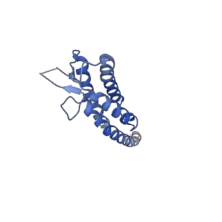 40059_8gi1_G_v1-1
Homo-octamer of PbuCsx28 protein