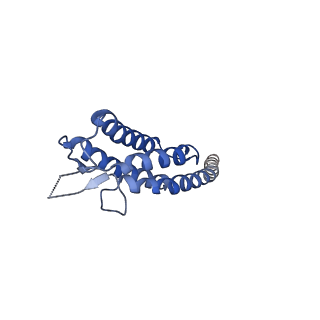 40059_8gi1_H_v1-1
Homo-octamer of PbuCsx28 protein