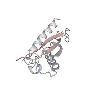 0009_6gj1_D_v1-4
The baseplate complex from the type VI secretion system