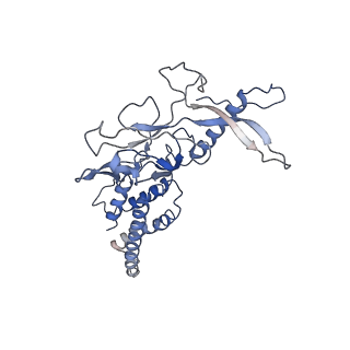 0010_6gj3_F_v1-3
The baseplate complex from the type VI secretion system
