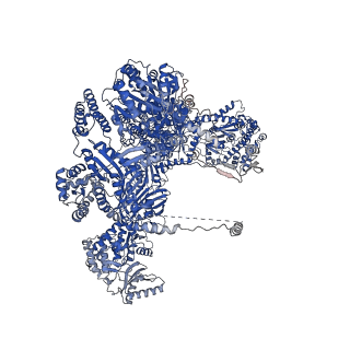 0011_6gjc_A_v1-2
Structure of Mycobacterium tuberculosis Fatty Acid Synthase - I