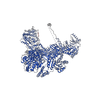 0011_6gjc_B_v1-2
Structure of Mycobacterium tuberculosis Fatty Acid Synthase - I