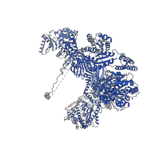 0011_6gjc_C_v1-2
Structure of Mycobacterium tuberculosis Fatty Acid Synthase - I