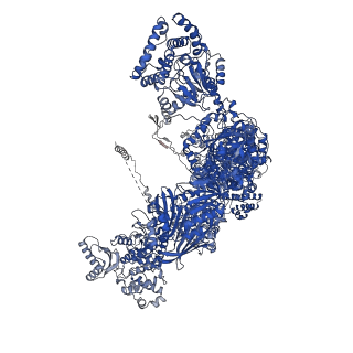 0011_6gjc_D_v1-2
Structure of Mycobacterium tuberculosis Fatty Acid Synthase - I