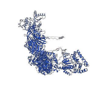 0011_6gjc_E_v1-2
Structure of Mycobacterium tuberculosis Fatty Acid Synthase - I