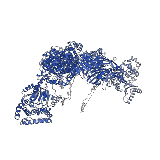 0011_6gjc_F_v1-2
Structure of Mycobacterium tuberculosis Fatty Acid Synthase - I