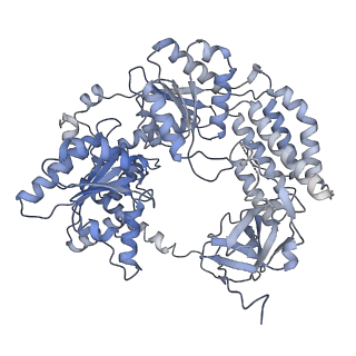 0012_6gjz_A_v1-3
CryoEM structure of the MDA5-dsRNA filament in complex with AMPPNP