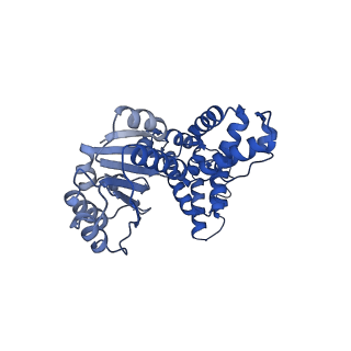 40081_8gj0_A_v1-0
E. coli clamp loader with open clamp on primed template DNA (form 1)