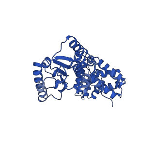 40081_8gj0_B_v1-0
E. coli clamp loader with open clamp on primed template DNA (form 1)