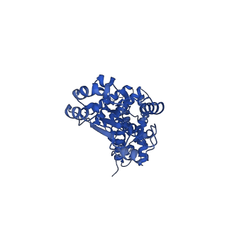 40081_8gj0_C_v1-0
E. coli clamp loader with open clamp on primed template DNA (form 1)