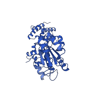 40081_8gj0_D_v1-0
E. coli clamp loader with open clamp on primed template DNA (form 1)