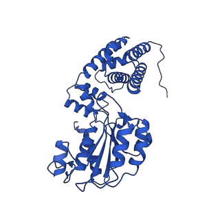 40081_8gj0_E_v1-0
E. coli clamp loader with open clamp on primed template DNA (form 1)