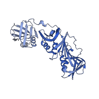 40081_8gj0_H_v1-0
E. coli clamp loader with open clamp on primed template DNA (form 1)