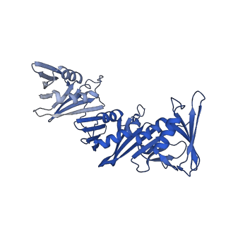 40081_8gj0_I_v1-0
E. coli clamp loader with open clamp on primed template DNA (form 1)