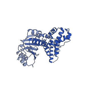 40082_8gj1_A_v1-0
E. coli clamp loader with open clamp on primed template DNA (form 2)