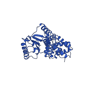 40082_8gj1_B_v1-0
E. coli clamp loader with open clamp on primed template DNA (form 2)