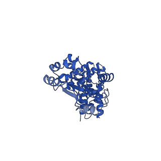 40082_8gj1_C_v1-0
E. coli clamp loader with open clamp on primed template DNA (form 2)