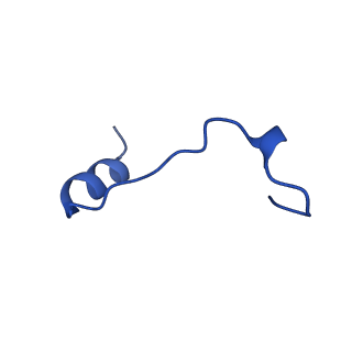 40082_8gj1_F_v1-0
E. coli clamp loader with open clamp on primed template DNA (form 2)