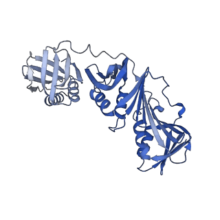 40082_8gj1_H_v1-0
E. coli clamp loader with open clamp on primed template DNA (form 2)