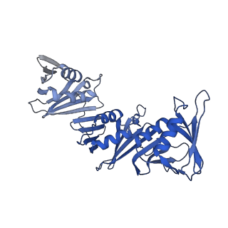 40082_8gj1_I_v1-0
E. coli clamp loader with open clamp on primed template DNA (form 2)