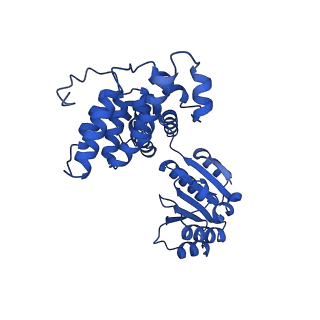 40083_8gj2_A_v1-0
E. coli clamp loader with closed clamp on primed template DNA