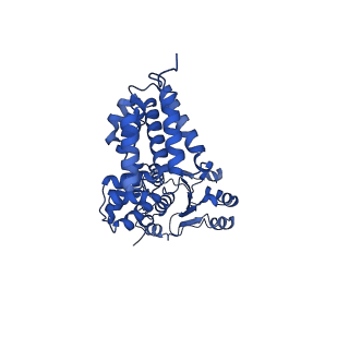 40083_8gj2_C_v1-0
E. coli clamp loader with closed clamp on primed template DNA