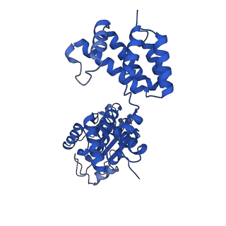 40083_8gj2_D_v1-0
E. coli clamp loader with closed clamp on primed template DNA