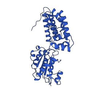 40083_8gj2_E_v1-0
E. coli clamp loader with closed clamp on primed template DNA