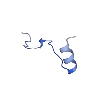 40083_8gj2_F_v1-0
E. coli clamp loader with closed clamp on primed template DNA