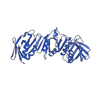 40083_8gj2_H_v1-0
E. coli clamp loader with closed clamp on primed template DNA