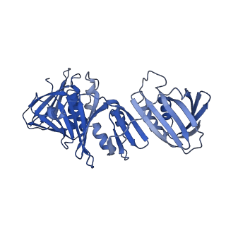 40083_8gj2_I_v1-0
E. coli clamp loader with closed clamp on primed template DNA