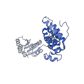 40084_8gj3_A_v1-0
E. coli clamp loader on primed template DNA