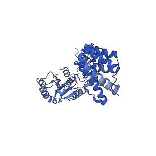 40084_8gj3_B_v1-0
E. coli clamp loader on primed template DNA