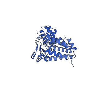 40084_8gj3_C_v1-0
E. coli clamp loader on primed template DNA