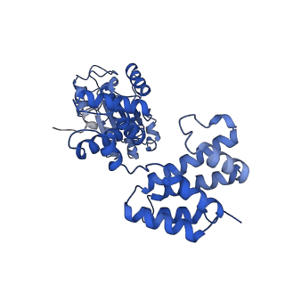 40084_8gj3_D_v1-0
E. coli clamp loader on primed template DNA