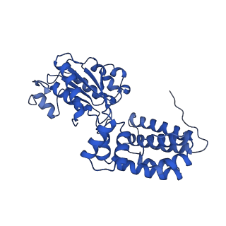 40084_8gj3_E_v1-0
E. coli clamp loader on primed template DNA