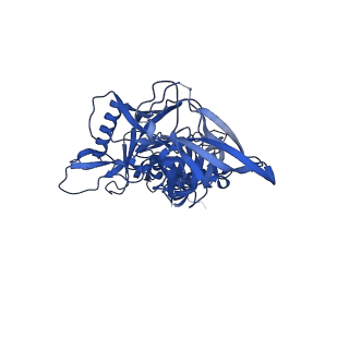 40088_8gje_D_v1-1
HIV-1 Env subtype C CZA97.12 SOSIP.664 in complex with 3BNC117 Fab