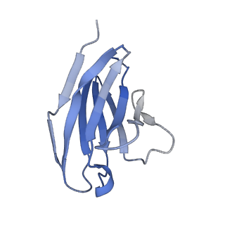 40088_8gje_K_v1-1
HIV-1 Env subtype C CZA97.12 SOSIP.664 in complex with 3BNC117 Fab