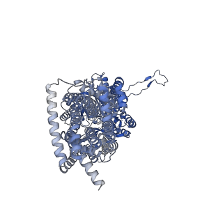 40093_8gjl_B_v1-1
multi-drug efflux pump RE-CmeB bound with Ciprofloxacin