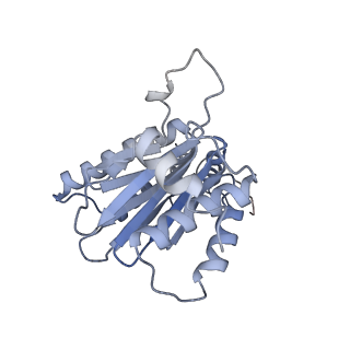 9511_5gjq_B_v1-3
Structure of the human 26S proteasome bound to USP14-UbAl