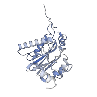 9511_5gjq_C_v1-3
Structure of the human 26S proteasome bound to USP14-UbAl