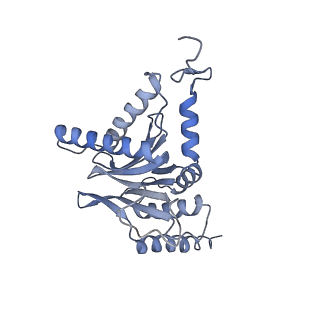9511_5gjq_D_v1-3
Structure of the human 26S proteasome bound to USP14-UbAl