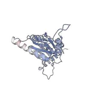 9511_5gjq_E_v1-3
Structure of the human 26S proteasome bound to USP14-UbAl