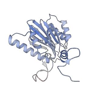 9511_5gjq_F_v1-3
Structure of the human 26S proteasome bound to USP14-UbAl