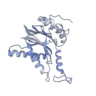 9511_5gjq_G_v1-3
Structure of the human 26S proteasome bound to USP14-UbAl